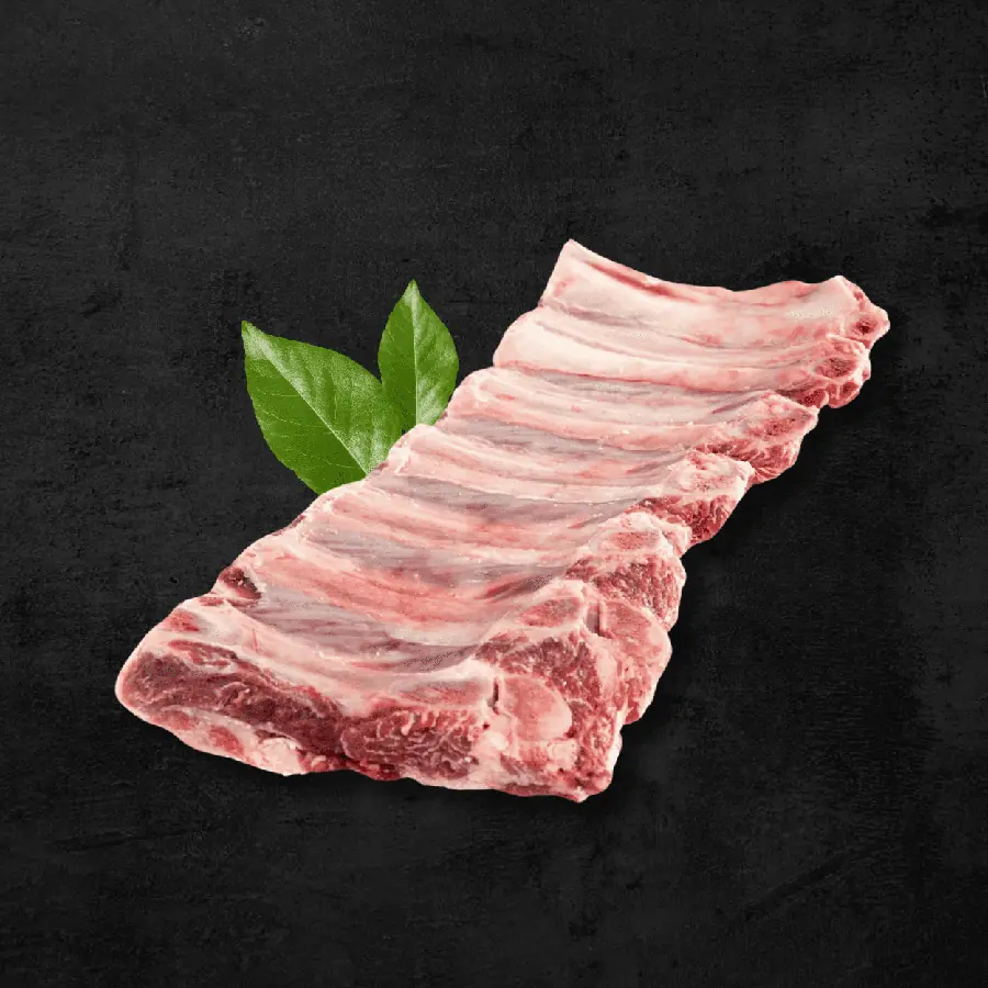 Costilla de cerdo con hueso sobre fondo oscuro