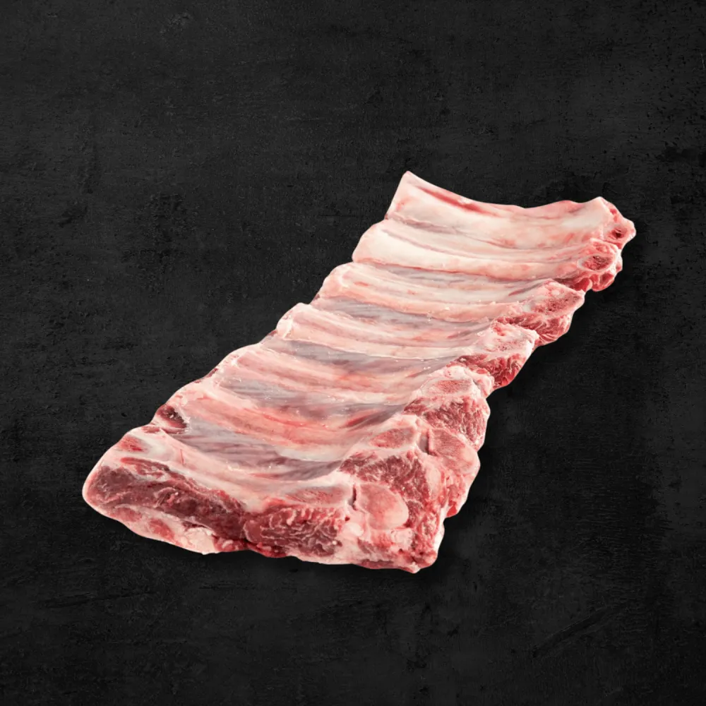 Costilla de cerdo con hueso sobre fondo oscuro